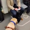 Illustration : Film&eacute; dans un train bond&eacute; un chien d'assistance guide son ma&icirc;tre malvoyant vers un si&egrave;ge r&eacute;serv&eacute; (vid&eacute;o)