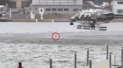 Illustration : Port&eacute; disparu, un chien est localis&eacute; dans une rivi&egrave;re glac&eacute;e puis secouru par un h&eacute;licopt&egrave;re de police (vid&eacute;o)