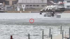 Illustration : Port&eacute; disparu, un chien est localis&eacute; dans une rivi&egrave;re glac&eacute;e puis secouru par un h&eacute;licopt&egrave;re de police (vid&eacute;o)