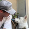 Illustration : Un homme sauve un chien Husky errant et revient l'adopter une semaine plus tard (vid&eacute;o)