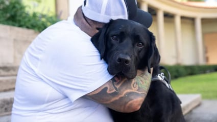Illustration : Un chien guide sauve la vie de son ma&icirc;tre malvoyant en posant la t&ecirc;te sur sa jambe pour l'alerter d'une grave thrombose