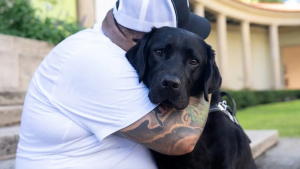 Illustration : Un chien guide sauve la vie de son maître malvoyant en posant la tête sur sa jambe pour l'alerter d'une grave thrombose
