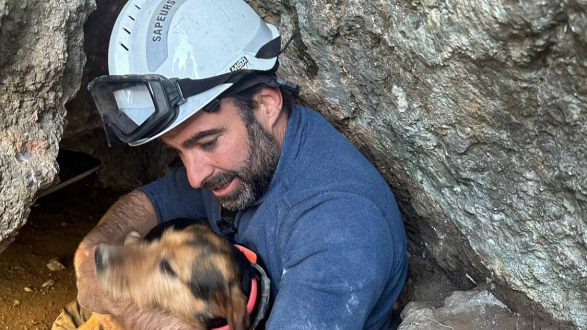 Illustration : "Les pompiers de l'Aude sauvent une chienne coincée pendant cinquante heures dans une crevasse à Narbonne-Plage"