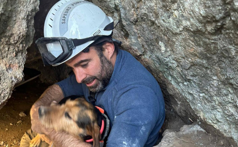 Les pompiers de l'Aude sauvent une chienne coincée pendant cinquante heures dans une crevasse à Narbonne-Plage