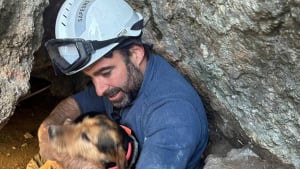 Illustration : Les pompiers de l'Aude sauvent une chienne coinc&eacute;e pendant cinquante heures dans une crevasse &agrave; Narbonne-Plage