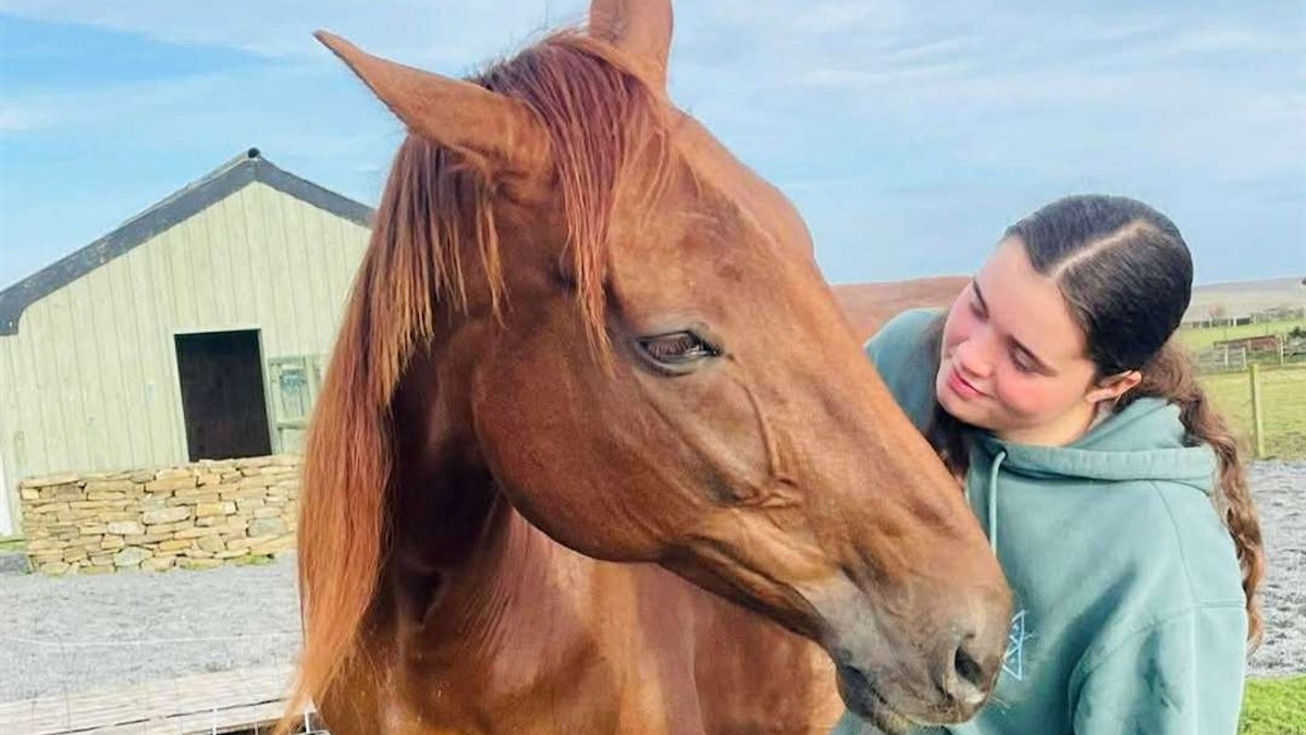 Illustration : "« Elle avait toute une vie devant elle », sauvé d'un abattoir illégal, cet ancien cheval de course est finalement adopté"