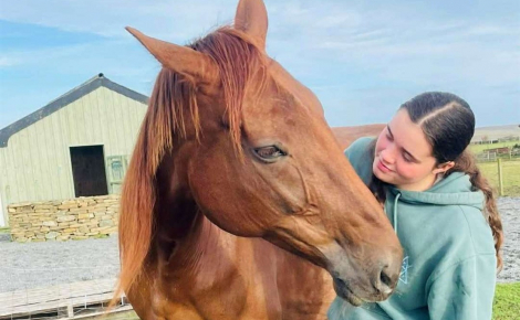 « Elle avait toute une vie devant elle », sauvé d'un abattoir illégal, cet ancien cheval de course est finalement adopté