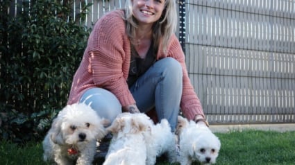 Illustration : Une &eacute;ducatrice accueille une chienne Bichon Maltais 2 heures apr&egrave;s sa mise bas et lui promet de faire d&eacute;couvrir le monde &agrave; ses chiots
