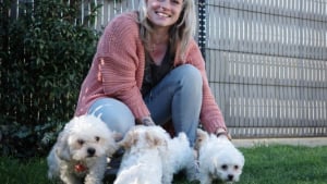 Illustration : Une &eacute;ducatrice accueille une chienne Bichon Maltais 2 heures apr&egrave;s sa mise bas et lui promet de faire d&eacute;couvrir le monde &agrave; ses chiots