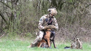 Illustration : L&rsquo;arm&eacute;e fait &eacute;voluer la formation de ses chiens militaires pour am&eacute;liorer leur bien-&ecirc;tre (vid&eacute;o)