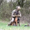 Illustration : L&rsquo;arm&eacute;e fait &eacute;voluer la formation de ses chiens militaires pour am&eacute;liorer leur bien-&ecirc;tre (vid&eacute;o)