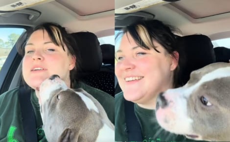Venant à peine de la rencontrer, ce chien brutalisé couvre sa mère d'accueil de bisous pendant tout le trajet en voiture pour la remercier (vidéo)
