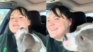 Illustration : Venant à peine de la rencontrer, ce chien brutalisé couvre sa mère d'accueil de bisous pendant tout le trajet en voiture pour la remercier (vidéo)