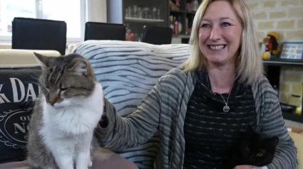 Illustration : Un couple retrouve son chat apr&egrave;s 14 ans de disparition et r&eacute;alise qu&rsquo;il a v&eacute;cu &agrave; seulement quelques m&egrave;tres