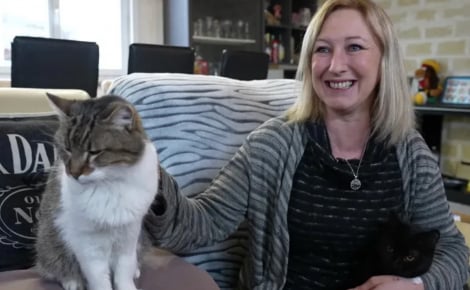 Un couple retrouve son chat après 14 ans de disparition et réalise qu’il a vécu à seulement quelques mètres