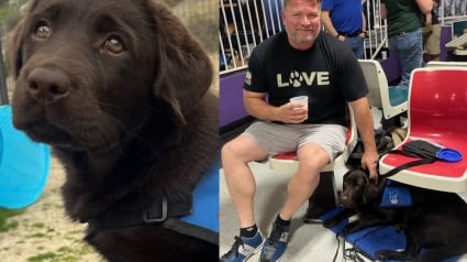 Illustration : Un ancien militaire atteint de traumatismes de guerre retrouve le sommeil et une vie normale gr&acirc;ce &agrave; son chien apr&egrave;s des d&eacute;cennies de souffrance