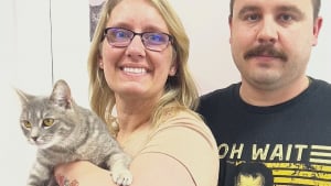 Illustration : "Sauvée par un policier après l'avoir découverte blessée sur une autoroute, une chatte retrouve une famille pour toujours (vidéo) "