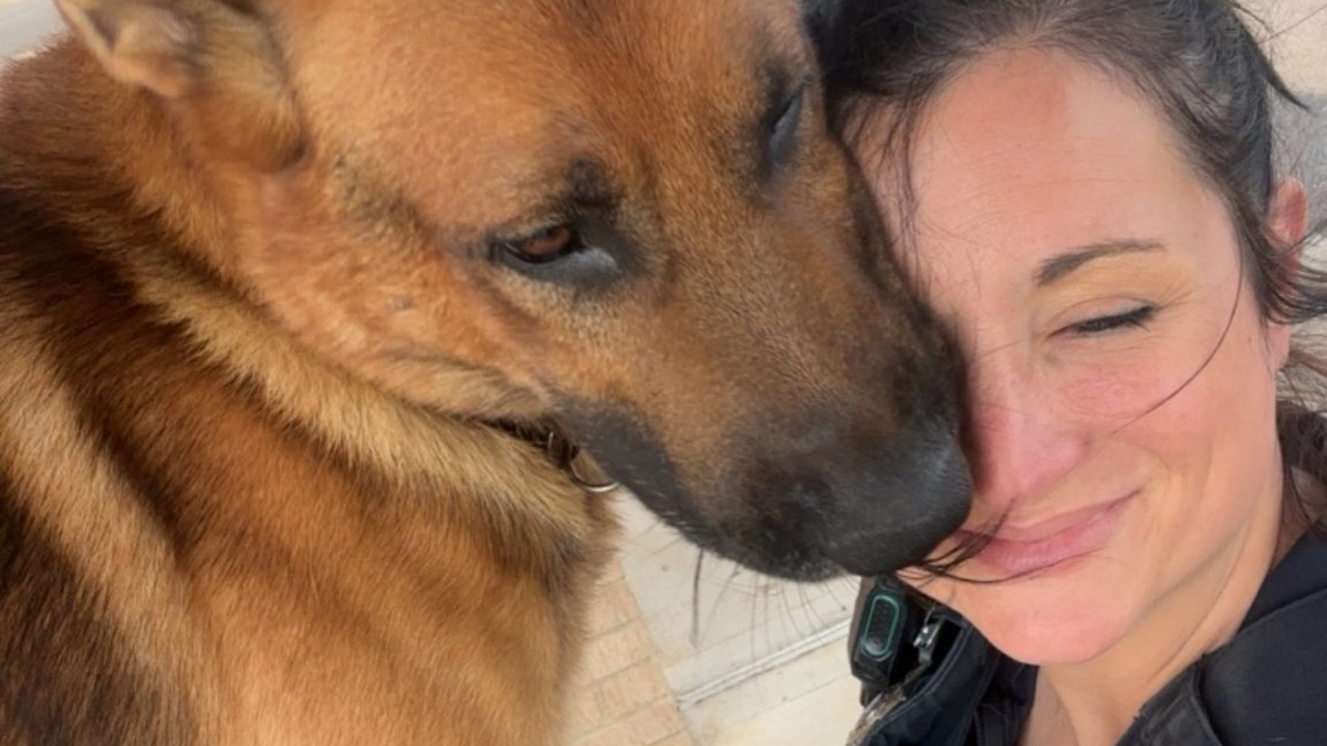 Illustration : "Jugé inapte au travail et menacé d’euthanasie, ce chien repéré par une policière devient son partenaire pour la lutte anti-drogue"