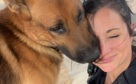 Jugé inapte au travail et menacé d’euthanasie, ce chien repéré par une policière devient son partenaire pour la lutte anti-drogue