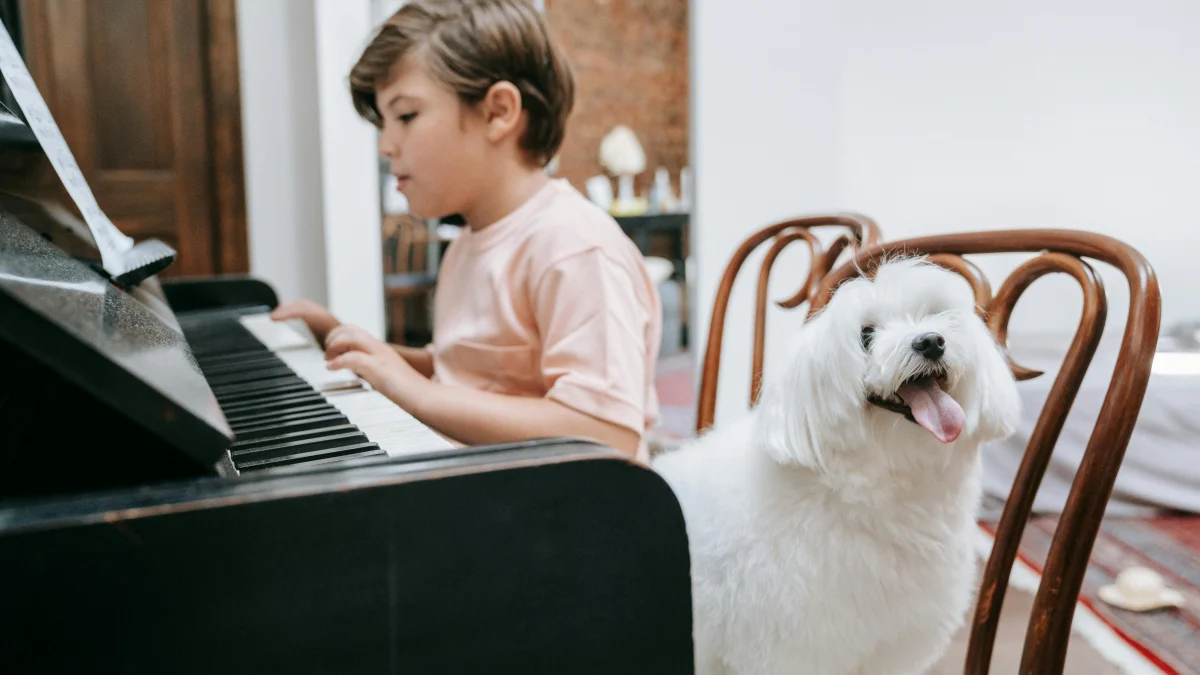 Illustration : "5 styles de musique recommandés par un vétérinaire pour apaiser votre chien ou votre chat"