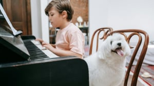 Illustration : "5 styles de musique recommandés par un vétérinaire pour apaiser votre chien ou votre chat"