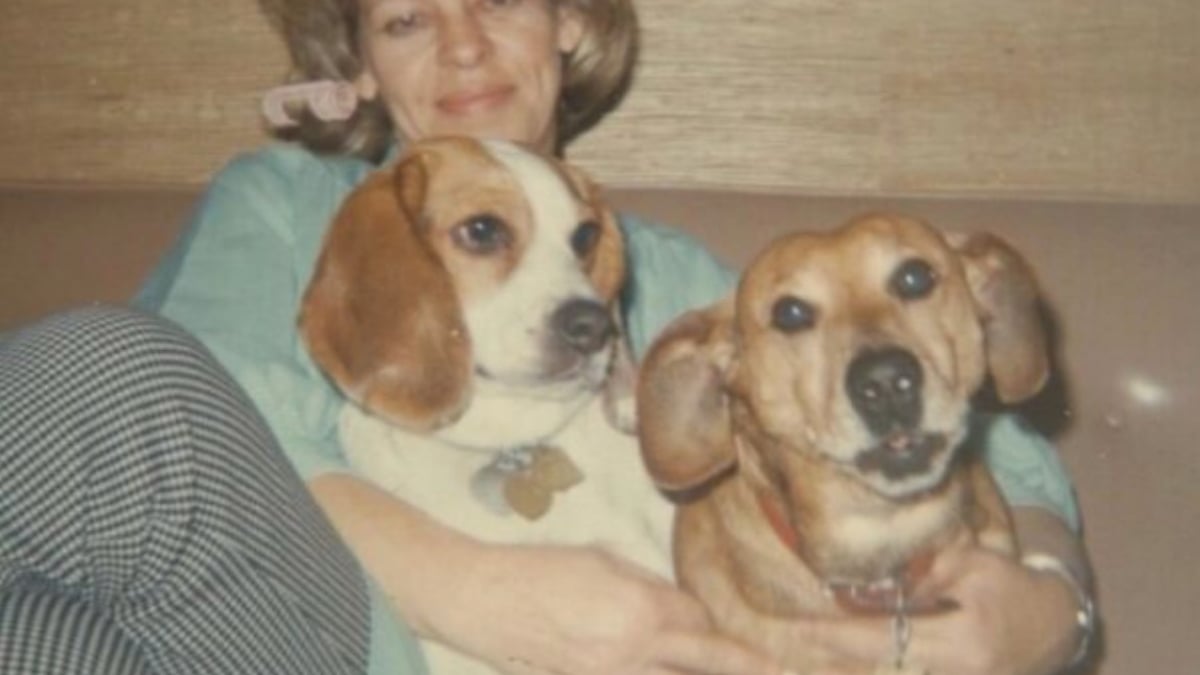 Illustration : "14 photos qui montrent que la force du lien entre humain et chien ne date pas d’hier"