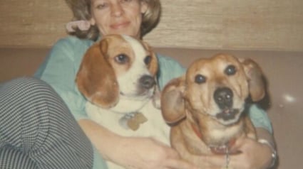 Illustration : 14 photos qui montrent que la force du lien entre humain et chien ne date pas d&rsquo;hier