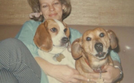 14 photos qui montrent que la force du lien entre humain et chien ne date pas d’hier