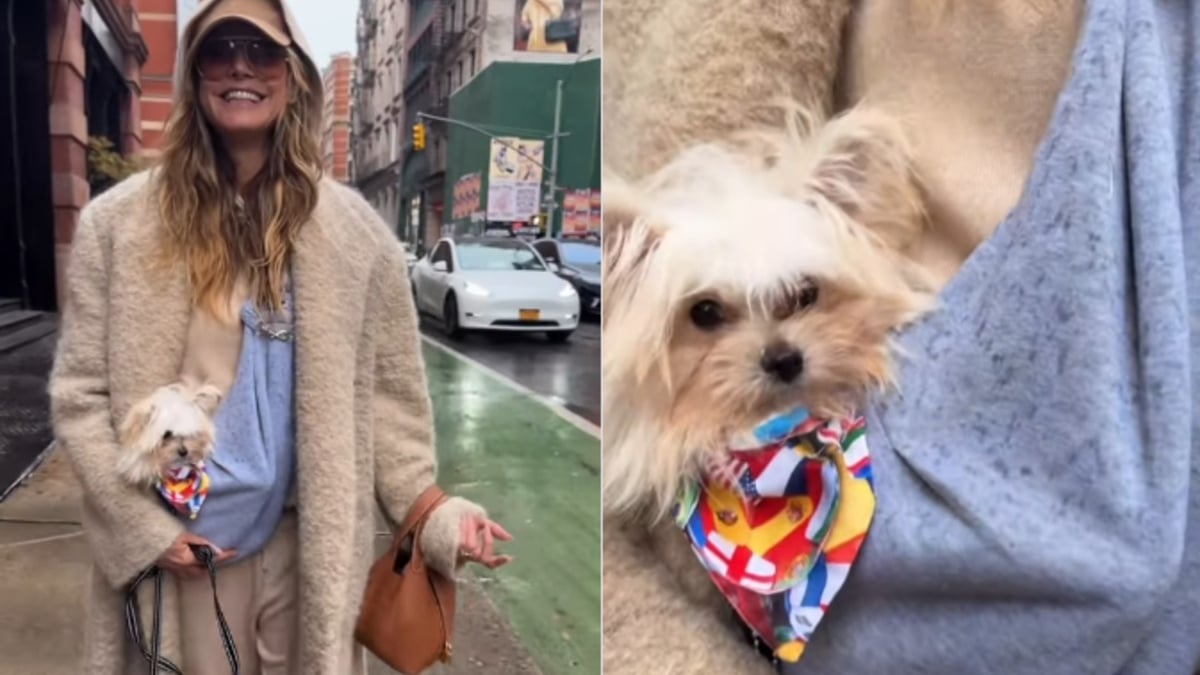 Illustration : "Le mannequin Heidi Klum adopte un chiot de 6 mois que personne n’a choisi lors d’une journée d’adoption"