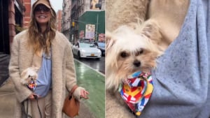 Illustration : Le mannequin Heidi Klum adopte un chiot de 6 mois que personne n’a choisi lors d’une journée d’adoption