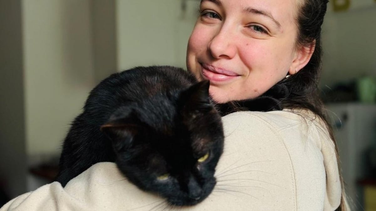 Illustration : "Introuvable depuis un an et demi, un chat réapparaît près de l’ancien lieu de travail de sa maîtresse"