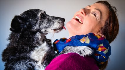 Illustration : Pourquoi votre chien vous l&egrave;che-t-il le visage avec insistance ? 8 raisons qui expliquent ce comportement