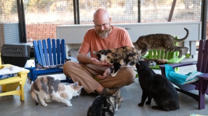 Illustration : Un retrait&eacute; construit des dizaines de chaises miniatures pour am&eacute;liorer le confort des chats en refuge