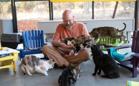 Un retraité construit des dizaines de chaises miniatures pour améliorer le confort des chats en refuge