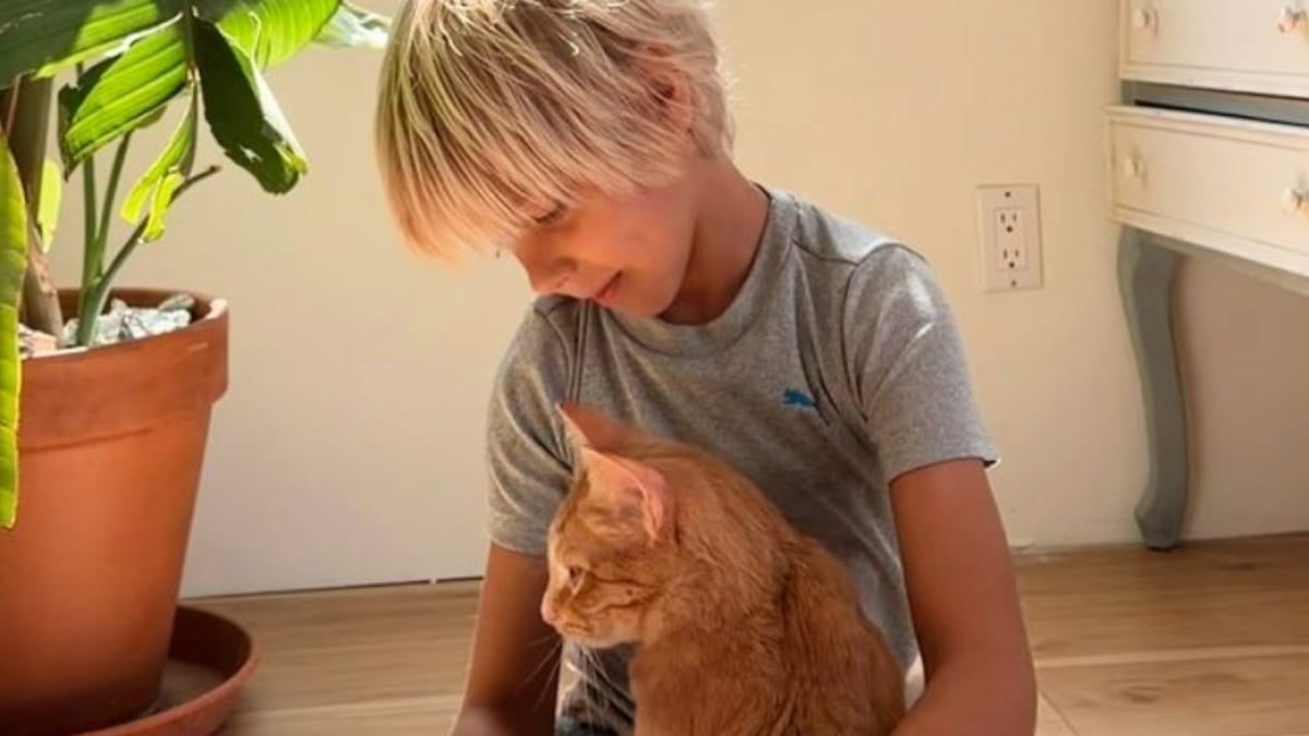 Illustration : "Un petit garçon n’ayant pas pu adopter un chat roux qu’il aimait tant trouve le réconfort grâce à la ténacité de sa maman"