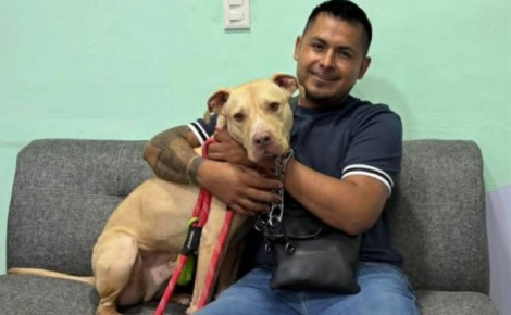 Contraint de quitter les Etats-Unis, il retrouve son chien au Mexique après un périple d'une semaine organisé par plusieurs associations