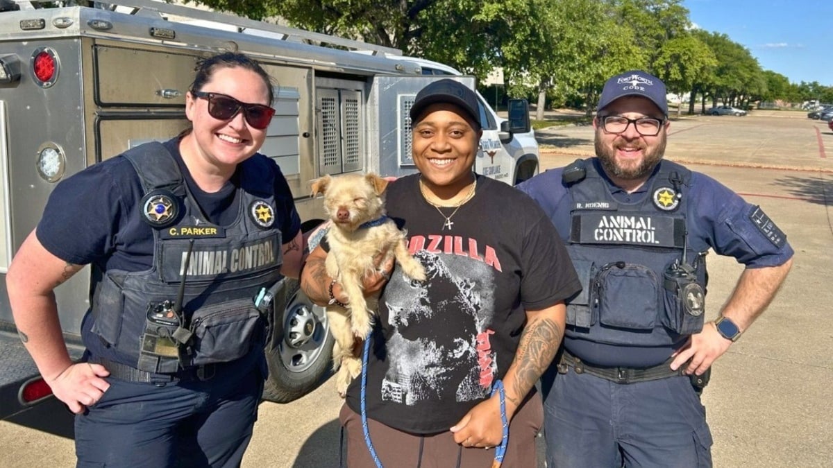 Illustration : "Les retrouvailles poignantes entre une femme et sa chienne retrouvée saine et sauve après 4 ans d'errance"