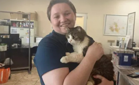 Disparue pendant 5 ans, une chatte identifiée grâce à sa puce retrouve sa famille soulagée qu'elle reconnaît immédiatement