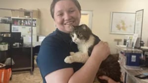 Illustration : Disparue pendant 5 ans, une chatte identifiée grâce à sa puce retrouve sa famille soulagée qu'elle reconnaît immédiatement