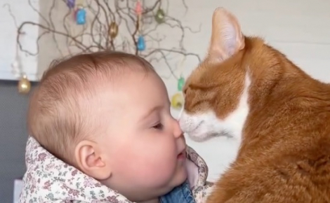Un chat et un bébé mettent en évidence un lien très fort en se câlinant tendrement (vidéo)