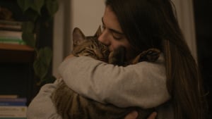 Illustration : Une &eacute;tude r&eacute;v&egrave;le que les chats imitent la personnalit&eacute; de leur propri&eacute;taire