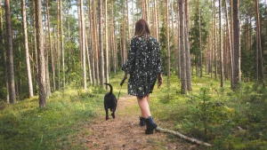 Illustration : "L'obligation de tenir son chien en laisse en forêt est entrée en vigueur cette semaine dans toute la France, jusqu'à 750 euros d'amende en cas de non-respect"