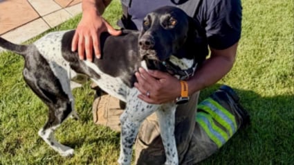 Illustration : R&eacute;veill&eacute;s par les aboiements insistants de leur chien &agrave; l'aube, ils &eacute;chappent &agrave; un incendie qui ravage leur garage et leurs voitures