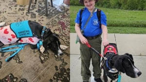 Illustration : Un élève de CM2 atteint d’autisme et d'un trouble neurologique accueille une chienne d'assistance grâce aux 12 000 euros récoltés lors d'une cagnotte solidaire