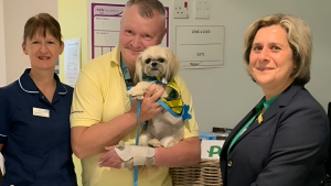 Illustration : Grâce à une chienne de thérapie, une femme prononce enfin ses premiers mots depuis sa crise cardiaque survenue en pleine croisière