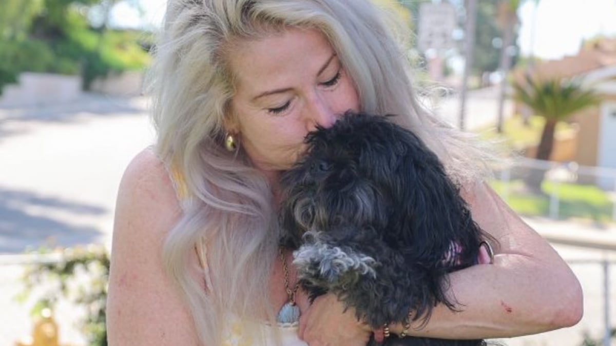 Illustration : "Une chienne disparue est retrouvée à plus de 50 kilomètres de chez elle grâce à un système de reconnaissance photographique "