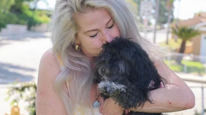 Illustration : Une chienne disparue est retrouv&eacute;e &agrave; plus de 50 kilom&egrave;tres de chez elle gr&acirc;ce &agrave; un syst&egrave;me de reconnaissance photographique 