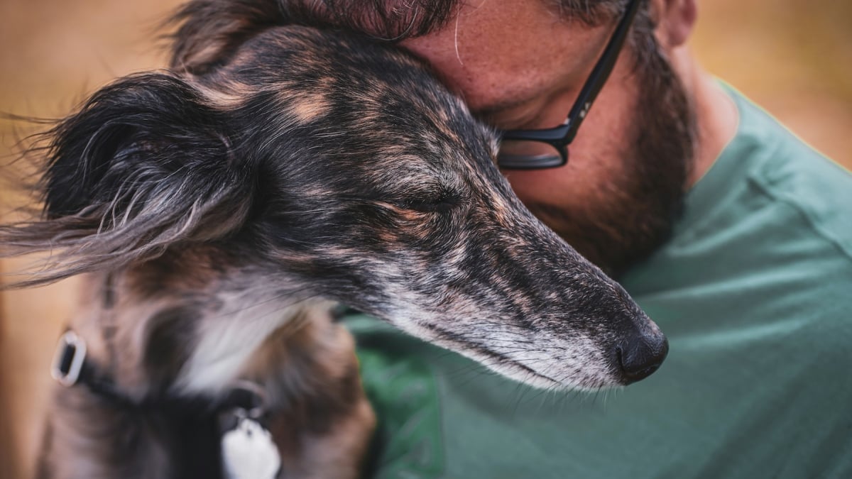 Illustration : "Une étude démontre que les chiens « sentent » arriver les crises d’épilepsie humaines"