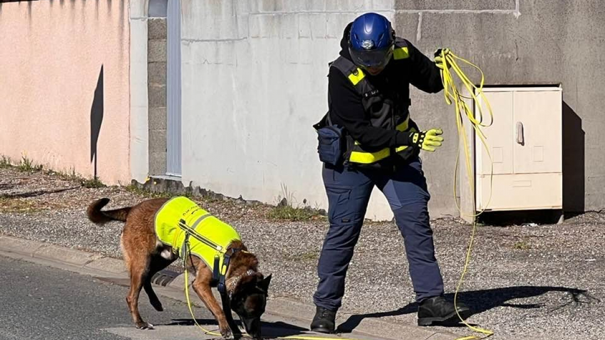 Illustration : "Avec son flair unique, ce Malinois détecte les fuites d'eau difficiles à localiser et soutient les équipes sur le terrain"