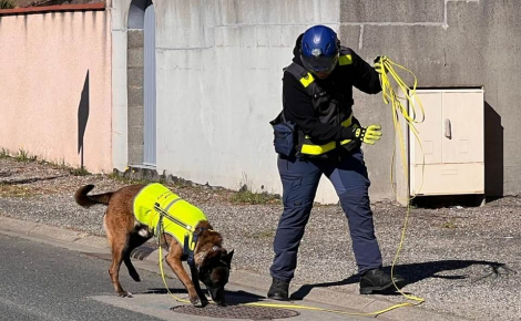 Avec son flair unique, ce Malinois détecte les fuites d'eau difficiles à localiser et soutient les équipes sur le terrain